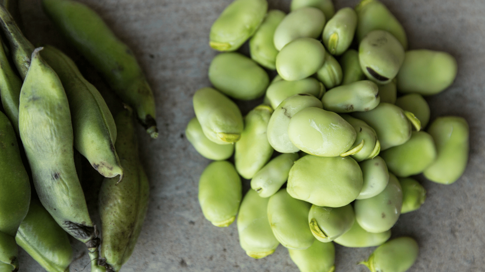 Fordhook Lima Beans