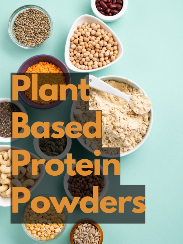 Plant Based Protein Powders